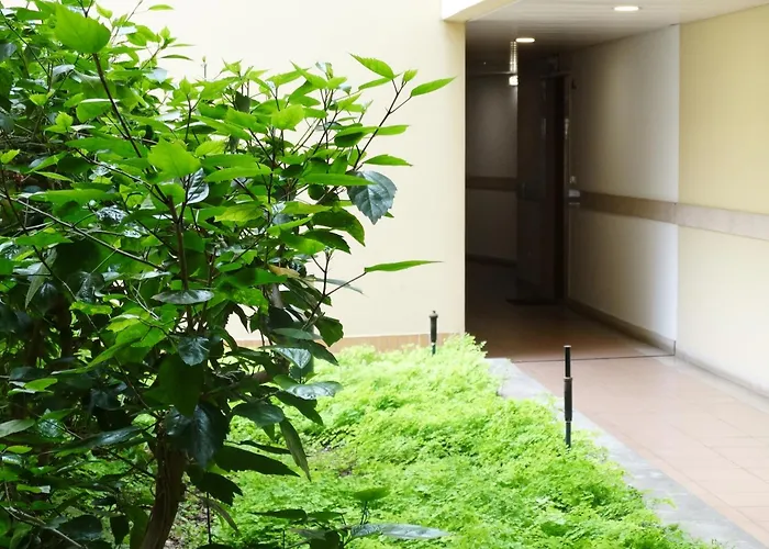 Ap Charme Anadia * Funchal (Madeira)